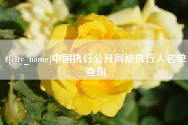 临沂中国执行公开网被执行人名单查询