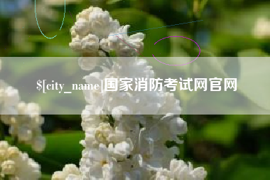 临沂国家消防考试网官网