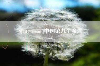 临沂中国第九个金牌