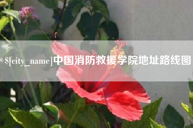 临沂中国消防救援学院地址路线图