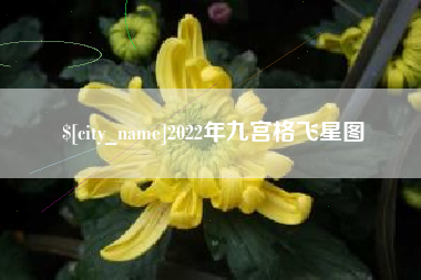 临沂2022年九宫格飞星图