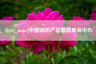 临沂中国消防产品信息查询中心