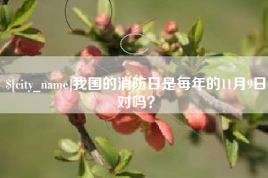 临沂我国的消防日是每年的11月9日对吗？