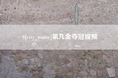 临沂第九金夺冠视频