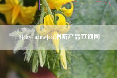 临沂ccc消防产品查询网