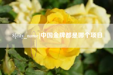 临沂中国金牌都是哪个项目