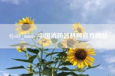 临沂中国消防器材网官方网站