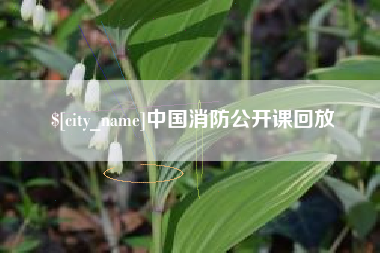 临沂中国消防公开课回放