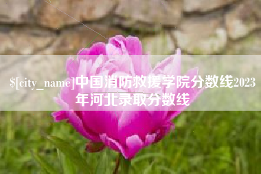 临沂中国消防救援学院分数线2023年河北录取分数线