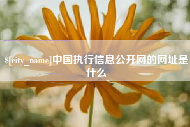 临沂中国执行信息公开网的网址是什么