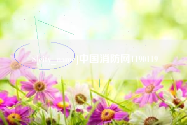 临沂中国消防网1190119