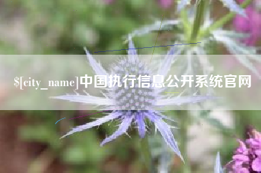 临沂中国执行信息公开系统官网