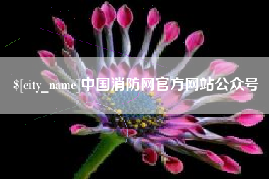 临沂中国消防网官方网站公众号