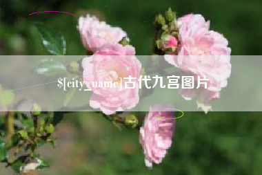 临沂古代九宫图片