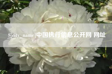 临沂中国执行信息公开网 网址