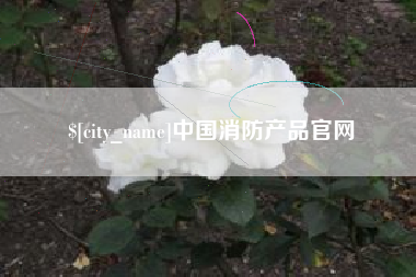 临沂中国消防产品官网