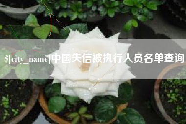 临沂中国失信被执行人员名单查询