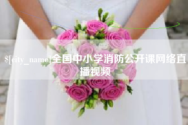 临沂全国中小学消防公开课网络直播视频
