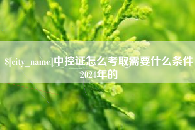 临沂中控证怎么考取需要什么条件2024年的