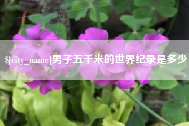 临沂男子五千米的世界纪录是多少