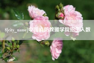 临沂中国消防救援学院招生人数