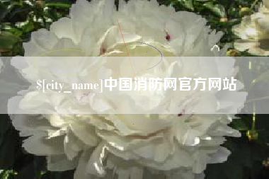 临沂中国消防网官方网站