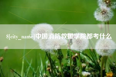 临沂中国消防救援学院都考什么