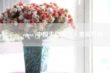 临沂中国失信执行人查询官网