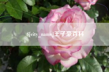 临沂王子豪百科