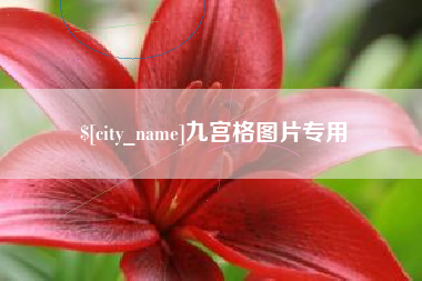 临沂九宫格图片专用