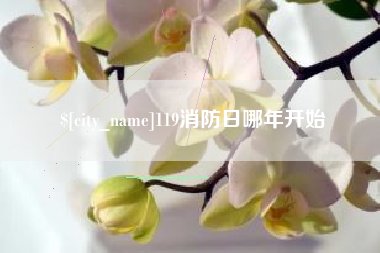 临沂119消防日哪年开始