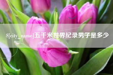 临沂五千米世界纪录男子是多少