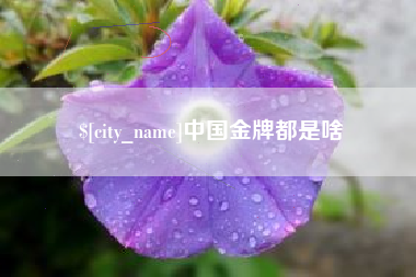 临沂中国金牌都是啥