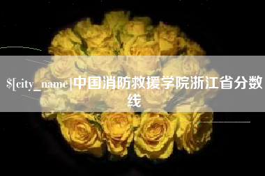 临沂中国消防救援学院浙江省分数线
