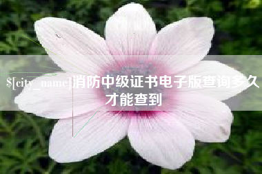 临沂消防中级证书电子版查询多久才能查到