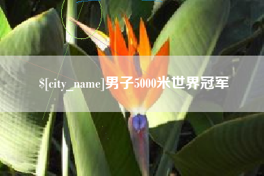 临沂男子5000米世界冠军