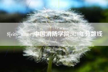 临沂中国消防学院2024年分数线