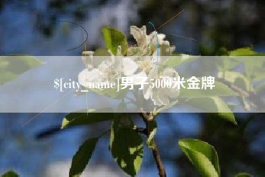临沂男子5000米金牌