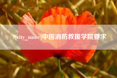 临沂中国消防救援学院要求