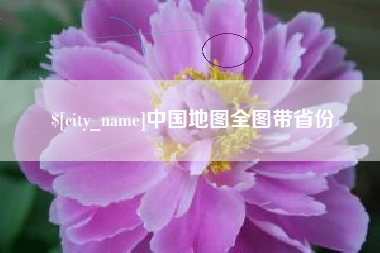 临沂中国地图全图带省份