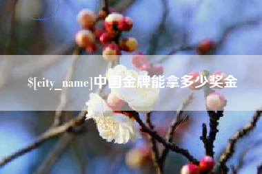 临沂中国金牌能拿多少奖金