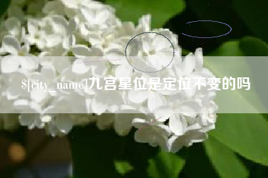 临沂九宫星位是定位不变的吗