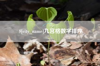 临沂九宫格数字排序