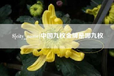临沂中国九枚金牌是哪九枚