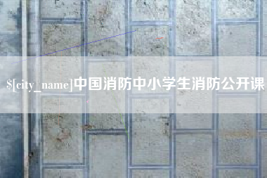 临沂中国消防中小学生消防公开课