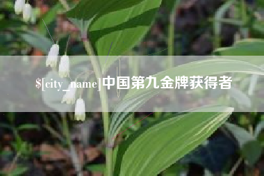 临沂中国第九金牌获得者