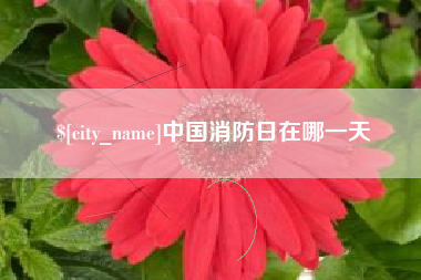 临沂中国消防日在哪一天