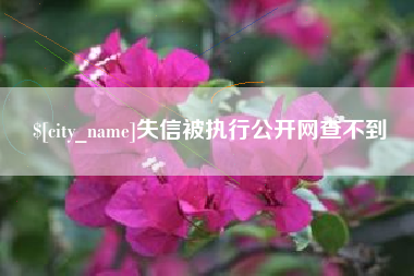 临沂失信被执行公开网查不到
