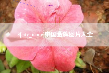 临沂中国金牌图片大全