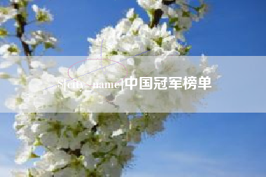 临沂中国冠军榜单